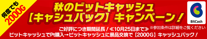 【期間延長！】秋のビットキャッシュバックキャンペーン♪